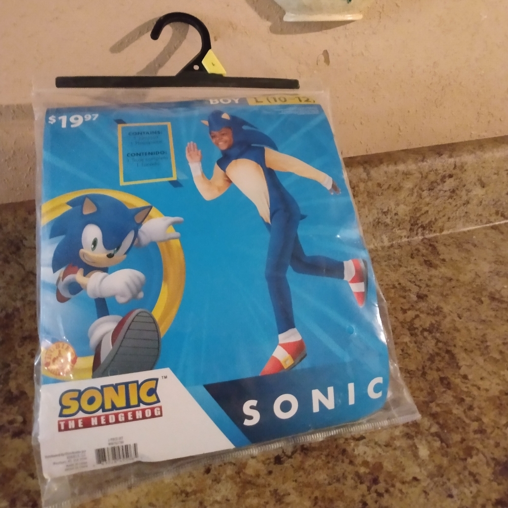 Sonic costume